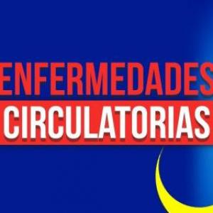 Enfermedades del Sistema Circulatorio.