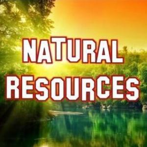 Memory Game