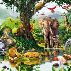 Reino Animal