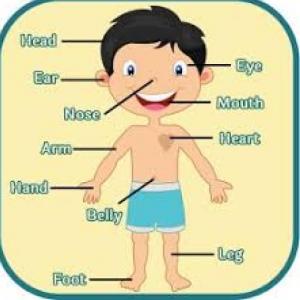 Portada del juego Body parts – Idiomas