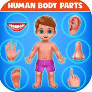 Portada del juego Body parts in plural – Idiomas
