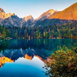 Nature
