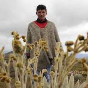 DEFINIENDO LA HISTORIA AMBIENTAL