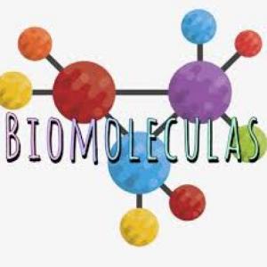 BIOMOLECULAS