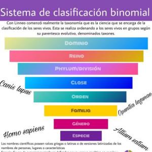 Taxonomía