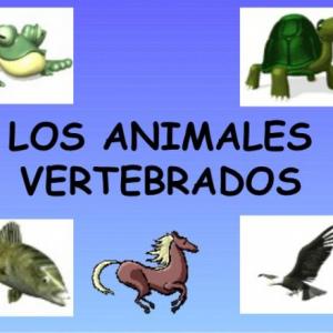Animales vertebrados