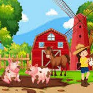 FARM ANIMALS