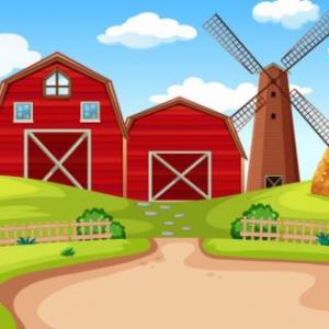 FARM ANIMALS
