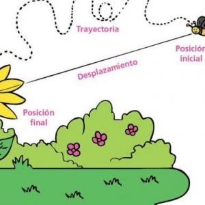 MOVIMIENTO DE LOS CUERPOS