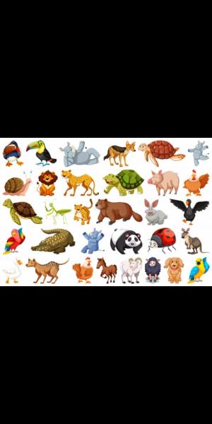 Animales de granjas