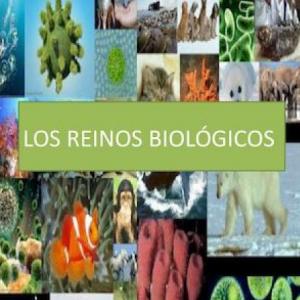 REINOS BIOLÓGICOS