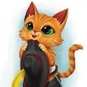 the puss in boots a wonderful adventure