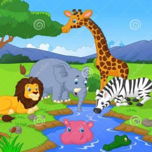 Conociendo a los Animales