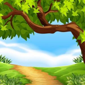 LOS RECURSOS NATURALES