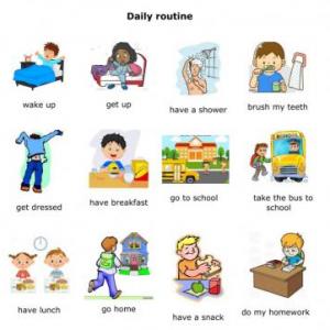 Daily routines