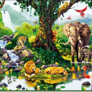 Relación entre los animales