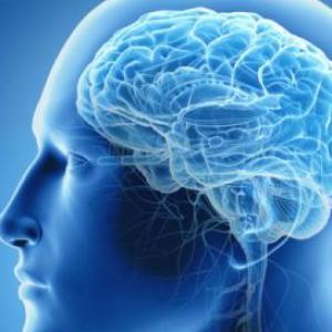 Patología de lenguaje y audición