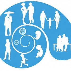 Desarrollo humano