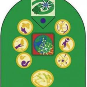 Insignias de tropa