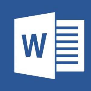MS Word