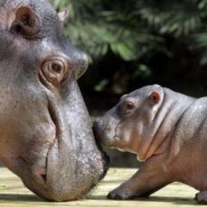 Mamás y bebés