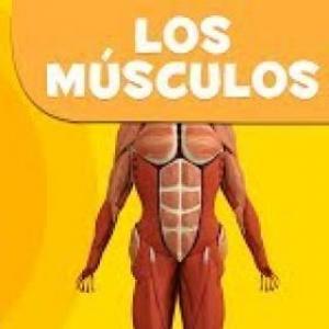Imagen de portada del videojuego educativo: Los músculos, de la temática Ciencias