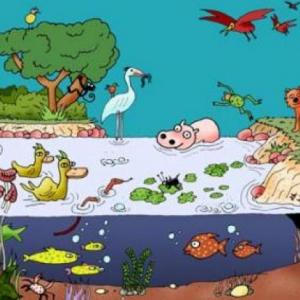 Imagen de portada del videojuego educativo: NUTRICION AUTÓTROFA Y HETERÓTROFA, de la temática Ciencias