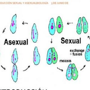 Imagen de portada del videojuego educativo: REPRODUCCIÓN SEXUAL Y ASEXUAL, de la temática Biología