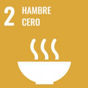 EL ACCESO A LOS ALIMENTOS Y EL HAMBRE