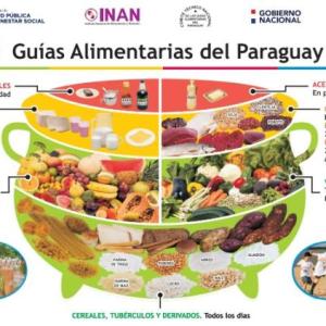 Imagen de portada del videojuego educativo: Guías Alimentarias del Paraguay: 