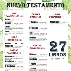 LOS LIBROS DEL NUEVO TESTAMENTO-DIEGO