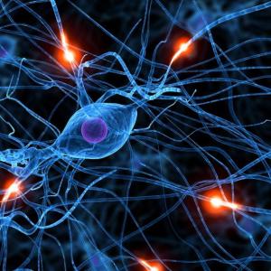 Imagen de portada del videojuego educativo: Las neuronas, de la temática Ciencias