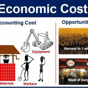 Portada del juego Economic Cost – Idiomas