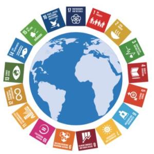 Objetivos de desarrollo sostenible y programas de atención de desastres