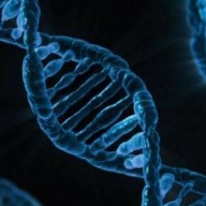 El Microscopio