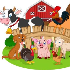 CONOCIENDO LOS ANIMALES 2