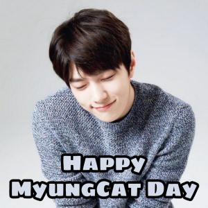 Imagen de portada del videojuego educativo: Happy MyungCat Day, de la temática Música