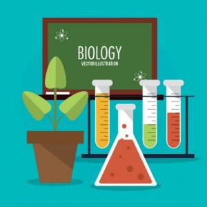 Science Game