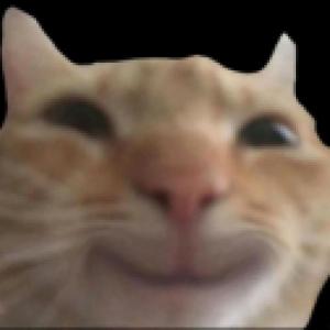 ae