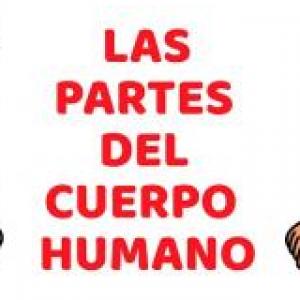 Descubro las partes de mi cuerpo