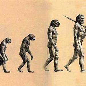 La Evolución del Hombre: Un Viaje a Través del Tiempo