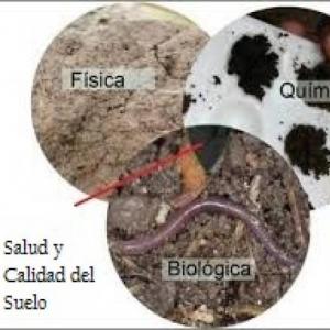Salud y Calidad del Suelo. 
