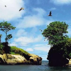 Ahorcado
