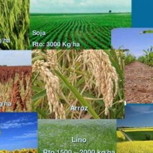 Recursos Naturales