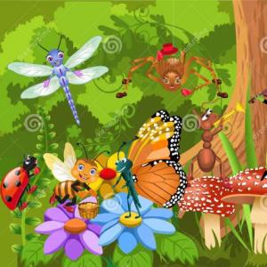 Encuentra a los insectos escondidos