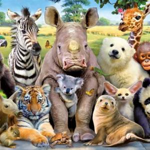 Imagen de portada del videojuego educativo: Animales, de la temática Lengua