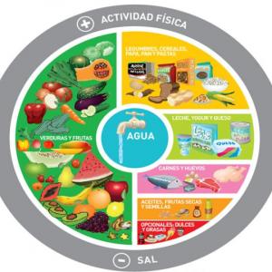 Alimentación  y nutrición