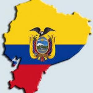 Juego de Refuerzo 3