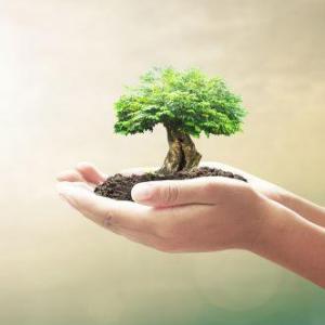 Inteligencia Naturalista