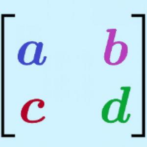 Oca con matrices